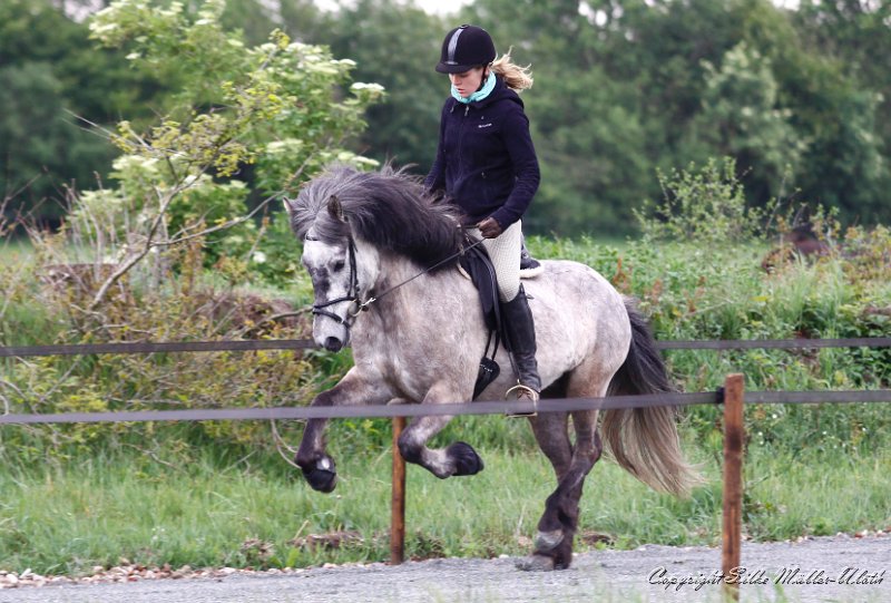 Arndis 2011_05_29 n.jpg - Arndis und Katharina - Probereiten auf der Passbahn auf Heesberg
